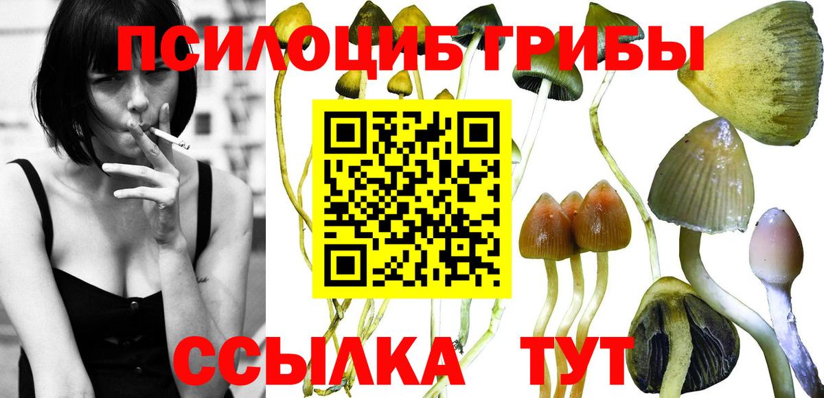 Псилоцибиновые грибы MAGIC MUSHROOMS Гагарин